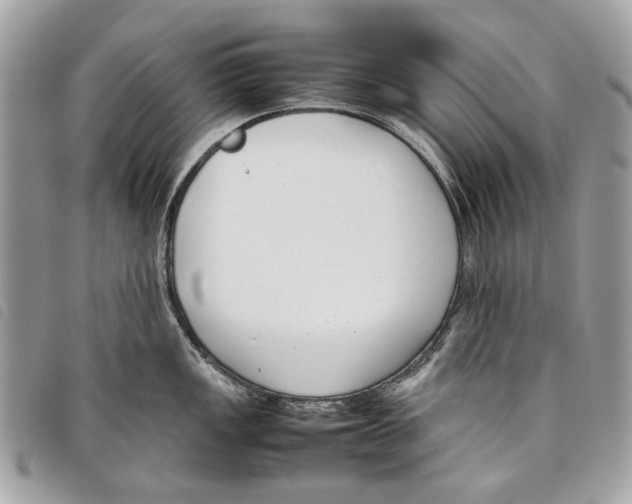 X0000097821149200804111009