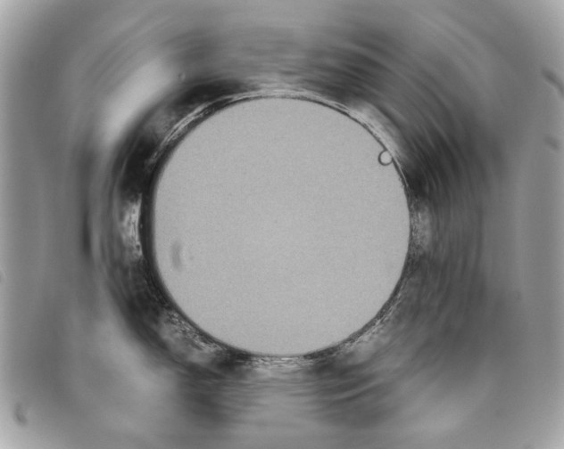 X0000097821150200804111009