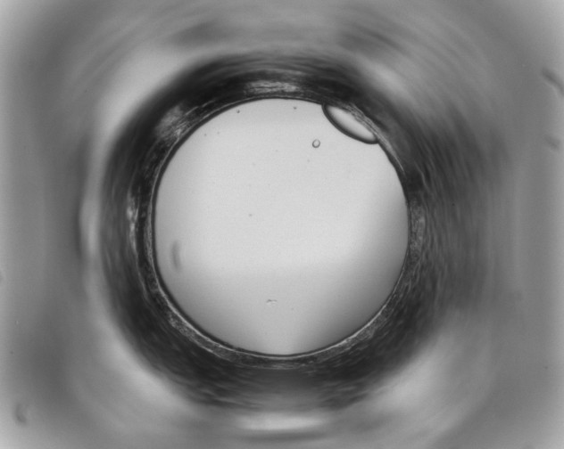 X0000097821151200804111009