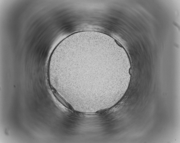 X0000097821152200804111009