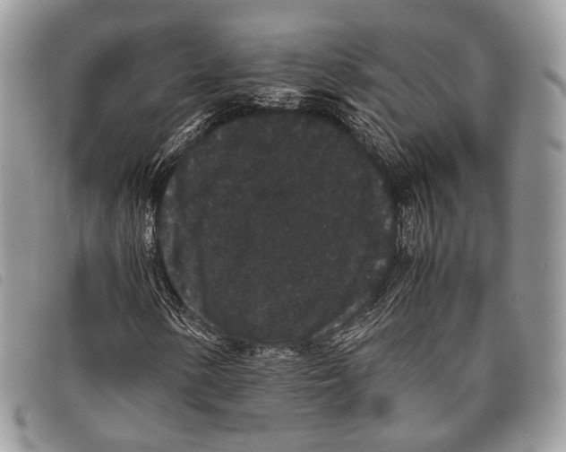 X0000097821154200804111009