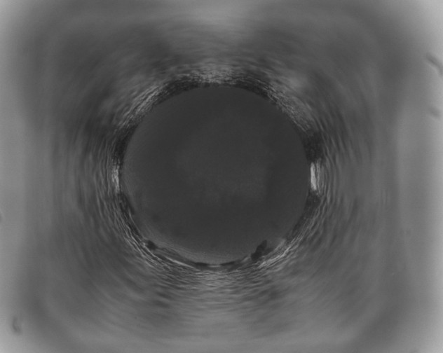 X0000097821155200804111009