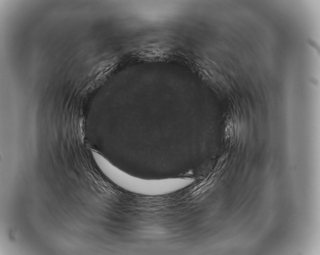 X0000097821156200804111008