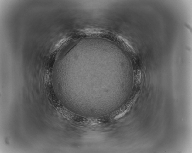 X0000097821157200804111008