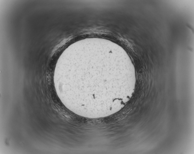 X0000097821159200804111008