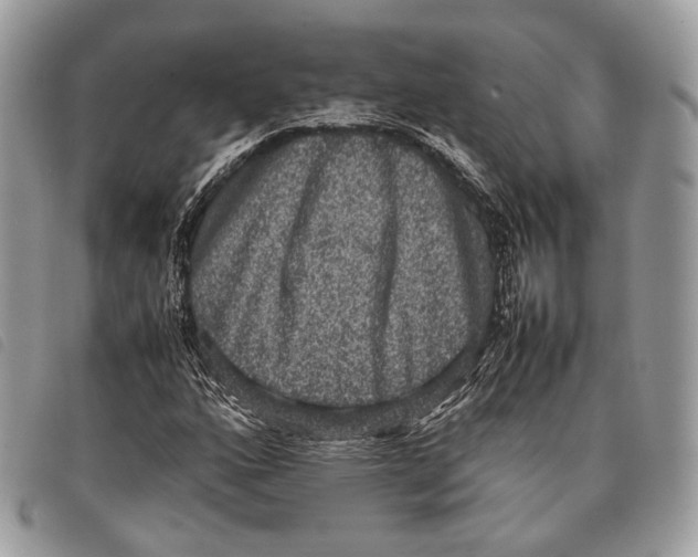 X0000097821160200804111008