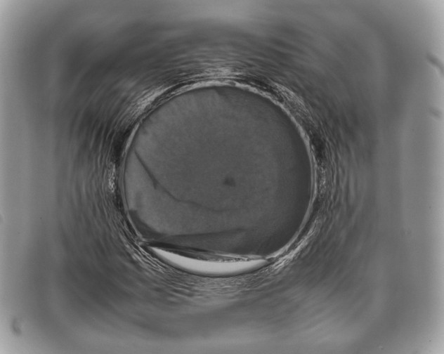 X0000097821161200804111008