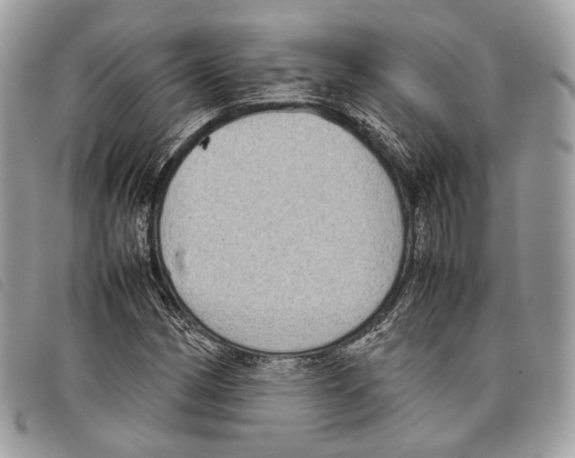 X0000097821162200804111008