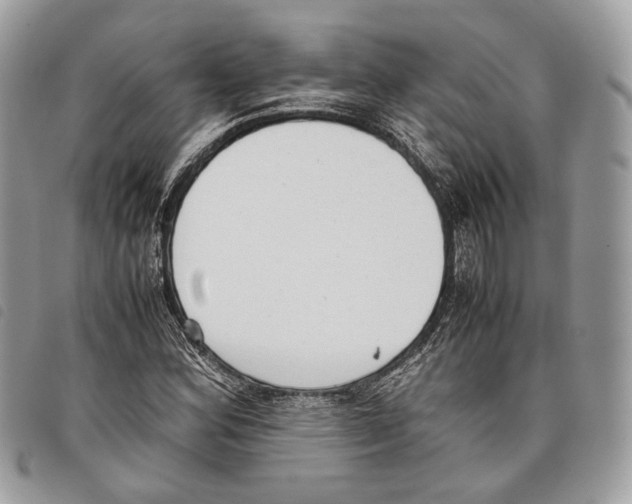 X0000097821164200804111008