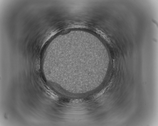 X0000097821165200804111008