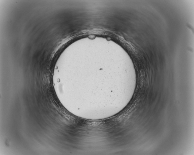 X0000097821166200804111008