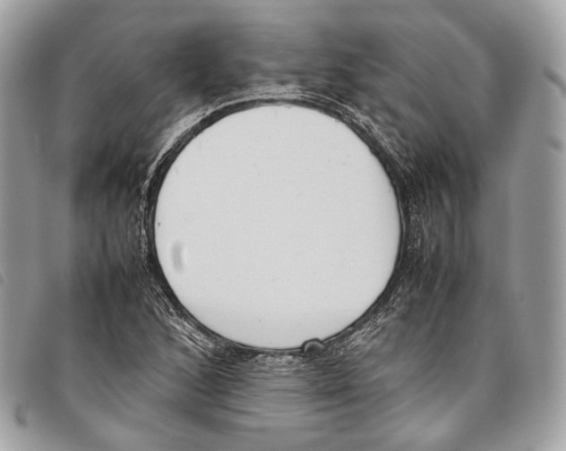 X0000097821168200804111008