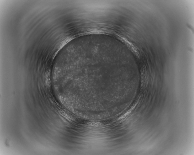 X0000097821170200804111008