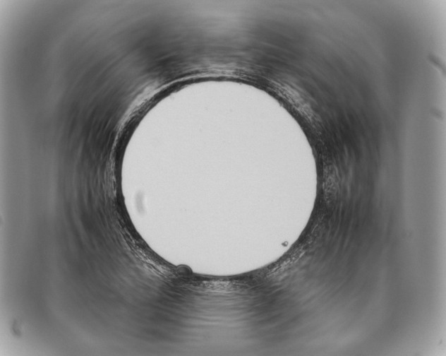 X0000097821172200804111008