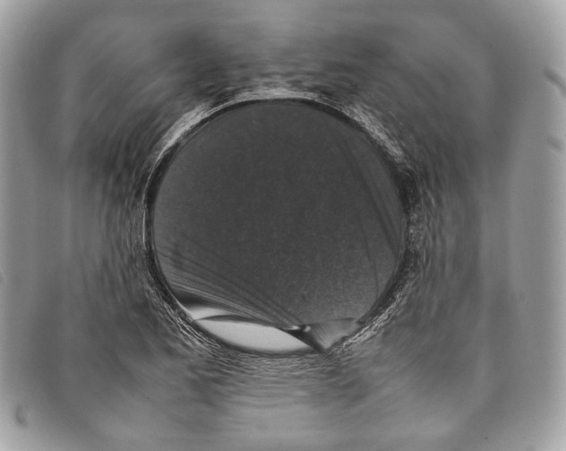 X0000097821173200804111008