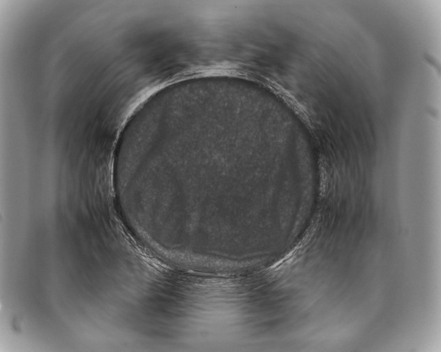 X0000097821174200804111008