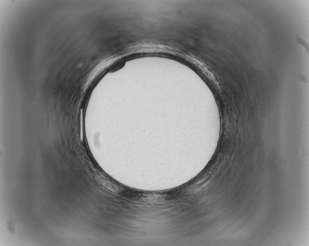 X0000097821175200804111008