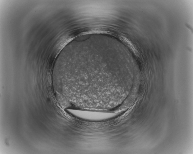 X0000097821177200804111008