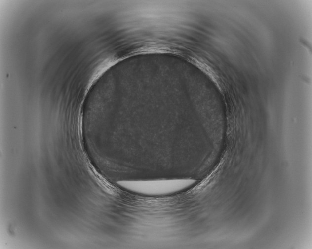 X0000097821179200804111008