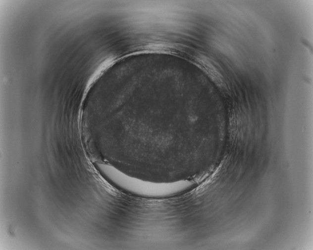 X0000097821180200804111008