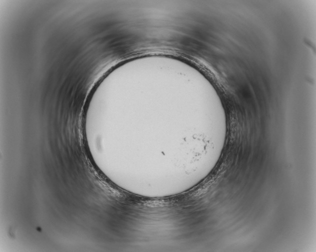 X0000097821182200804111008