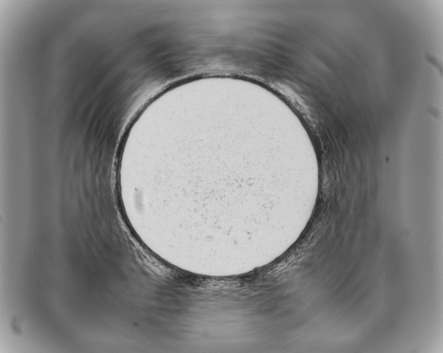 X0000097821183200804111008