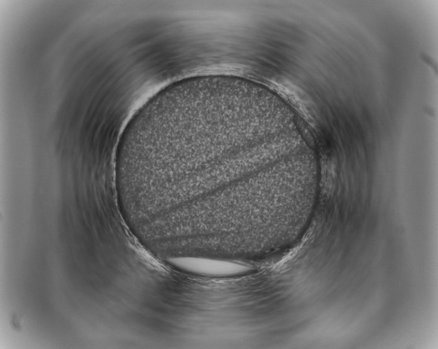 X0000097821184200804111008