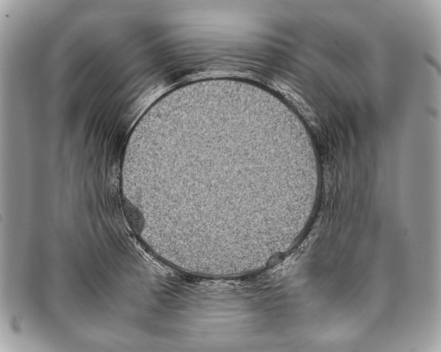 X0000097821185200804111008