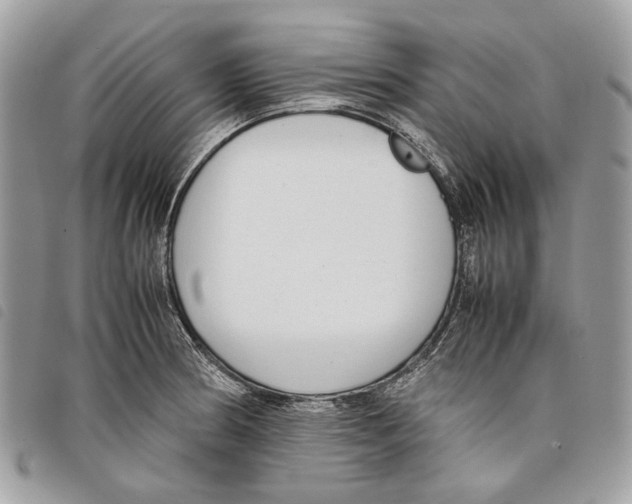 X0000097821186200804111008