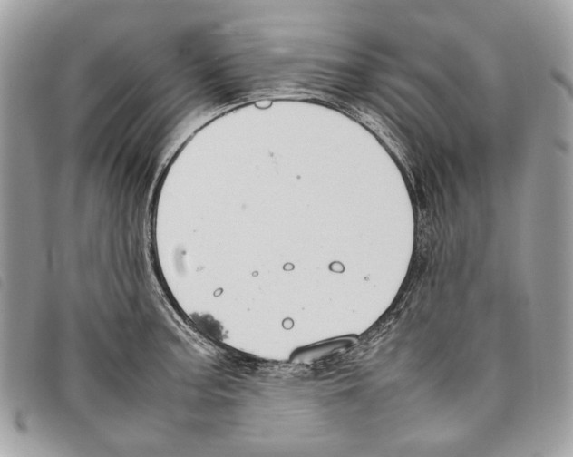 X0000097821187200804111008