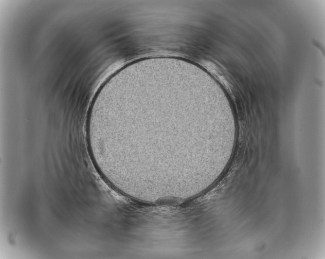 X0000097821189200804111008