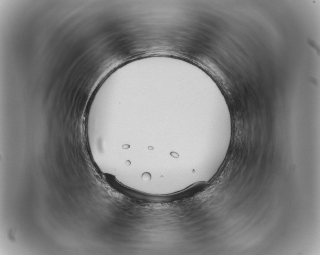 X0000097821190200804111008