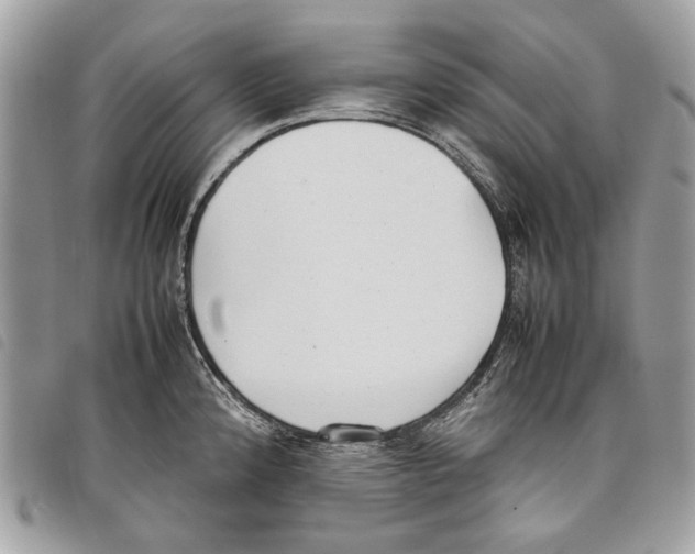 X0000097821192200804111008