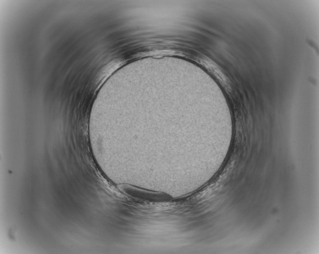 X0000097821193200804111008