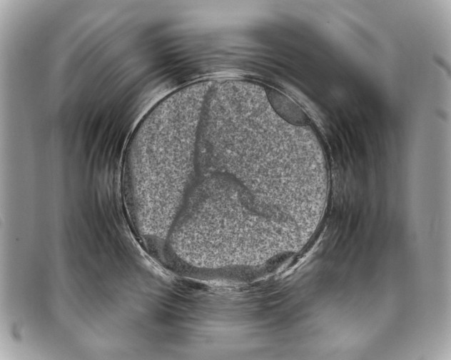 X0000097821194200804111008