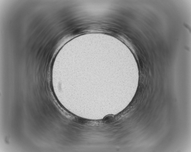 X0000097821195200804111008