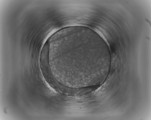 X0000097821197200804111008