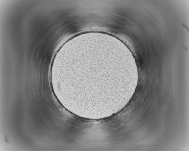 X0000097821199200804111008