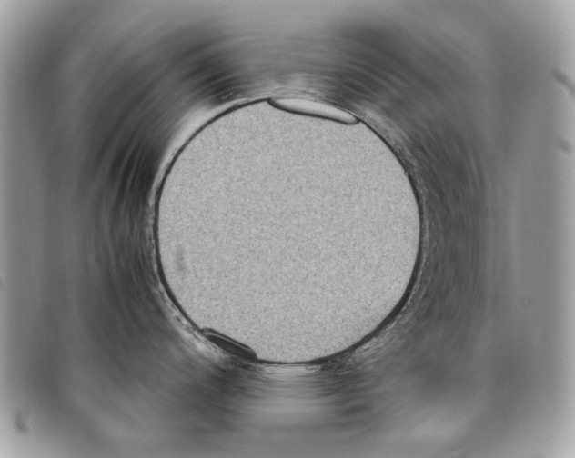 X0000097821200200804111008