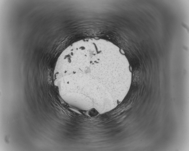 X0000097821202200804111007