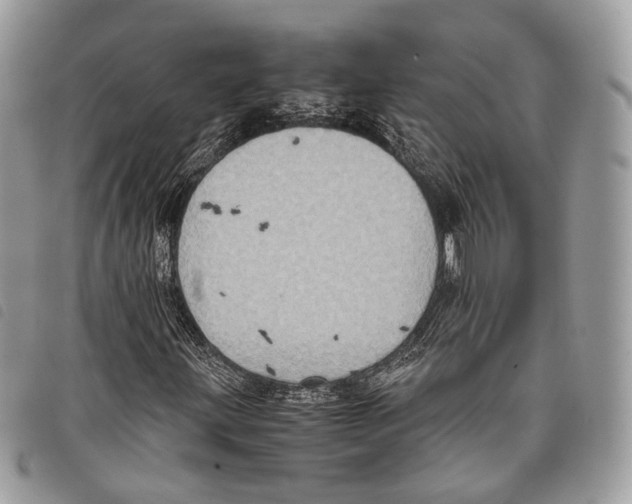 X0000097821203200804111007