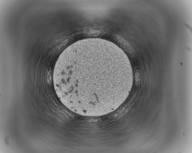 X0000097821204200804111007