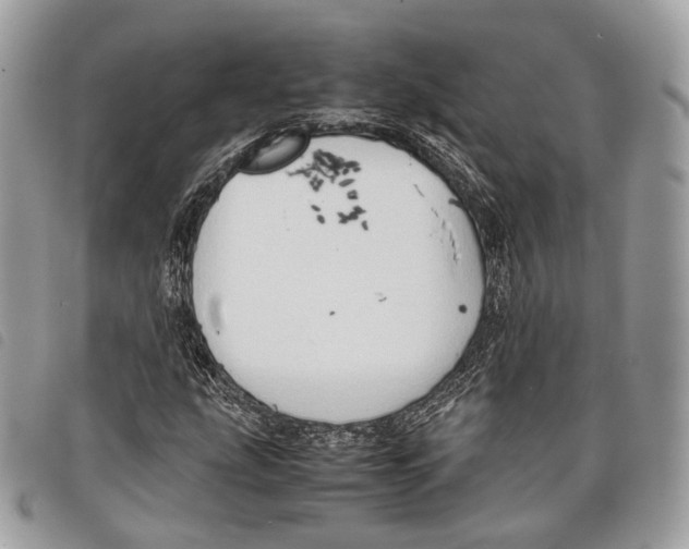 X0000097821207200804111007