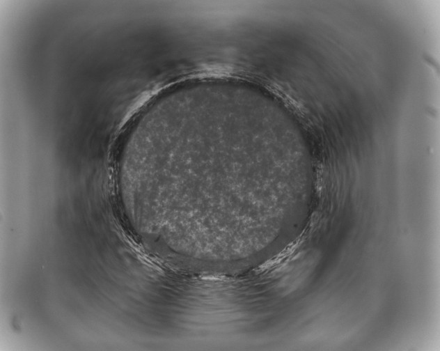 X0000097821208200804111007