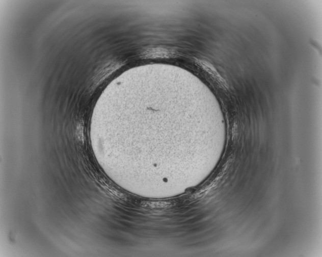 X0000097821209200804111007