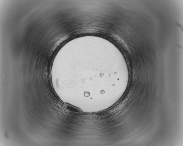 X0000097821210200804111007