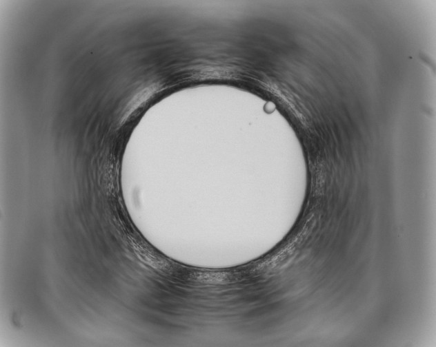 X0000097821211200804111007