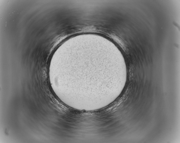 X0000097821212200804111007