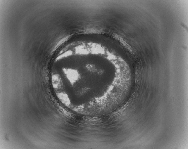 X0000097821213200804111007