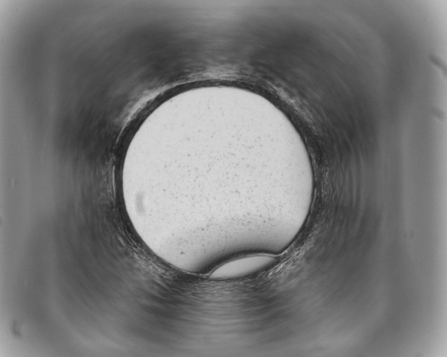 X0000097821214200804111007